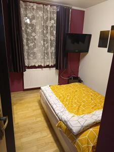 a bedroom with a bed and a television in it at Apartament do wynajęcia in Olecko