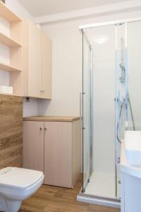 a bathroom with a shower and a toilet and a sink at Apartament SŁONECZKO Rezydencja Ustronie Morskie in Ustronie Morskie