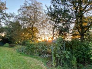 a garden with a small greenhouse in a field at Beautiful 1-Bed studio Lickey Hills Birmingham in Birmingham