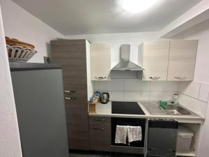 Kuchyň nebo kuchyňský kout v ubytování Apartments Stokic