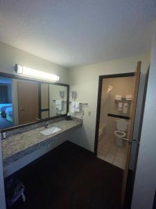 ein Badezimmer mit einem Waschbecken, einem WC und einem Spiegel in der Unterkunft Cobblestone Hotel & Suites - Wisconsin Rapids in Wisconsin Rapids