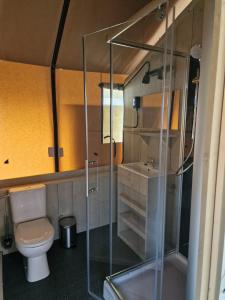 a bathroom with a toilet and a glass shower at Lodgetent Reisdorf in Reisdorf