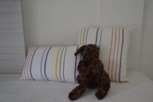 Fotografia z galérie ubytovania Cosy apartamento en Sagaró, Costa Brava v destinácii S'Agaro