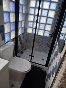 uma casa de banho com um WC e um chuveiro em A CASA de FLORINDA em Oia