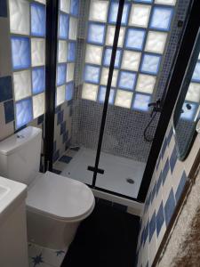 un baño con inodoro y ducha en A CASA de FLORINDA, en Oia
