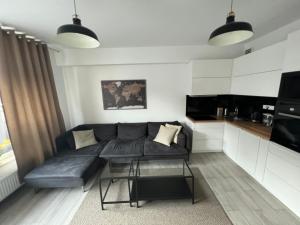 Kuchyňa alebo kuchynka v ubytovaní Apartament Księcia Janusza