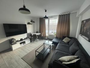 Televízia a/alebo spoločenská miestnosť v ubytovaní Apartament Księcia Janusza
