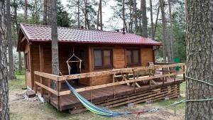 een houten hut met een hangmat in het bos bij DWA DOMKI BORSK in Borsk