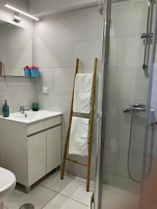 een badkamer met een douche, een wastafel en een toilet bij Casa de férias Óbidos in Óbidos