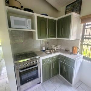 Kuchnia wyposażona jest w zielone szafki, kuchenkę i kuchenkę mikrofalową. w obiekcie Petti Rosa Villa w mieście Gros Islet