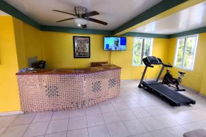 a gym with a treadmill in a room with yellow walls at 2 bedroom suite Peguyille 