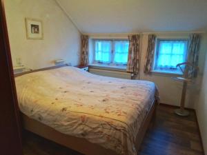 1 dormitorio con 1 cama grande y 2 ventanas en Vakantiewoning 't Veurhuus en Bergentheim