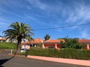 波瓦聖塔伊里亞的住宿－Casa De Cha Prazeres，房屋前的棕榈树
