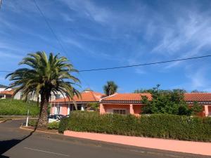 Fotografie z fotogalerie ubytování Casa De Cha Prazeres v destinaci Prazeres