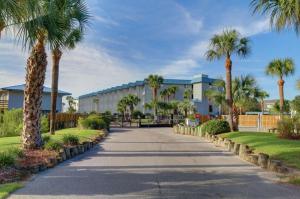 a driveway with palm trees in front of a building at Hamlet's Passion Beach in Tybee Island