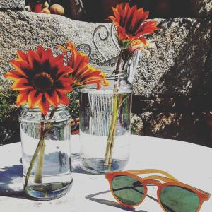 deux vases avec des fleurs et une paire de lunettes sur une table dans l'établissement Casa do Fundo - Sustainable & Ecotourism, à Seia