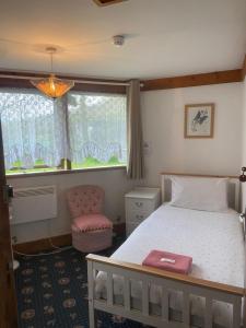 ein Schlafzimmer mit einem Bett, einem Fenster und einem Stuhl in der Unterkunft Haven of Trees - Hafan Y Coed in Abercraf