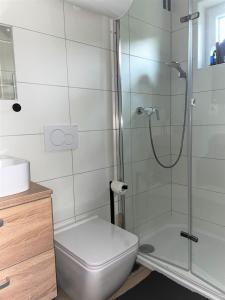 W łazience znajduje się prysznic, toaleta i umywalka. w obiekcie Chata Pinie w mieście Ivančice