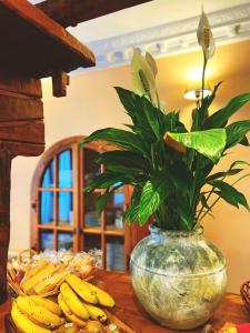 un jarrón con una planta sobre una mesa con plátanos en La Llosa de Sámano en Castro Urdiales