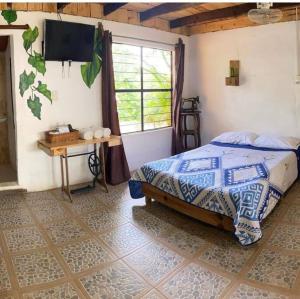 a bedroom with a bed and a window and a television at Villa Olaya Completo in Xilitla