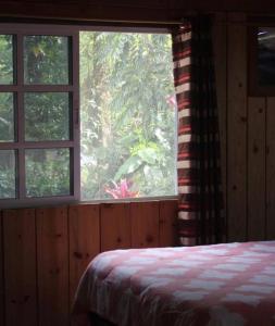 Легло или легла в стая в Villa Olaya Completo