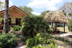 una casa con un paraguas de paja y algunas plantas en Secluded Ocean Front Overlooking the Marina en San Carlos