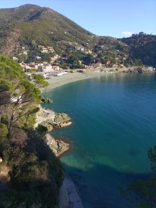 uma vista aérea de uma praia e do oceano em Soledad em Bonassola