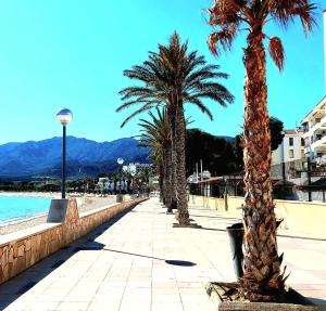 a row of palm trees on a sidewalk next to a beach at MarSolRosas in Hospitalet de l'Infant