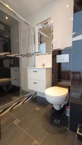 Nad Stawem 2 في ساربينوفو: حمام مع مرحاض ودش زجاجي