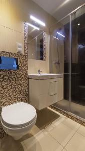 a bathroom with a toilet and a sink and a shower at Nad Stawem 2 in Sarbinowo
