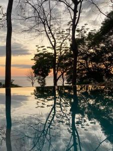 a reflection of trees in a pool of water at Villa Laia - Santa Teresa in Santa Teresa Beach