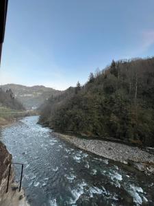 リゼにあるVALLEY SUiT OTELの列車からの川の眺め