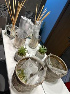 een tafel met een aantal planten in containers erop bij Red Corner Central Apartment in Cluj-Napoca