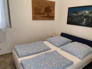 Postel nebo postele na pokoji v ubytování Apartment Anic