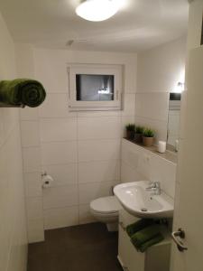 een badkamer met een toilet, een wastafel en een tv bij Ferienwohnung Hofmeier in Hinterzarten