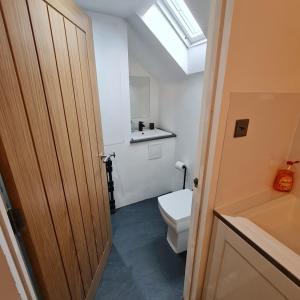 a bathroom with a white toilet and a skylight at Ness City Cottage in Inverness