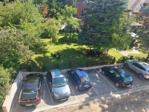 um grupo de carros estacionados num parque de estacionamento em Šarm studio 301 em Zlatibor