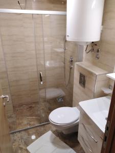uma casa de banho com um WC e uma cabina de duche em vidro. em Šarm studio 301 em Zlatibor