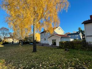 un árbol amarillo en un patio con una casa en Park House Gävle - a modern renovated house in the park - 5A, en Gävle