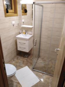 een badkamer met een douche, een toilet en een wastafel bij Šarm 402 in Zlatibor