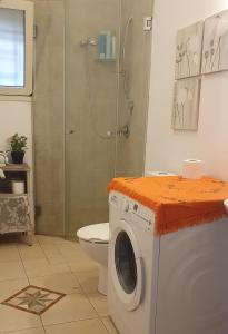 a washing machine in a bathroom with a shower at ארוח האגוזים in Shefer