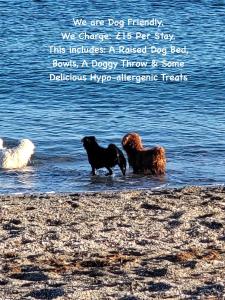 three dogs standing in the water next to the water at Lanterns Shepherds Huts & Glamping in Happisburgh