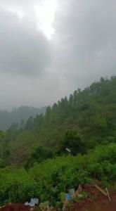 Afbeelding uit fotogalerij van Joy Happy House Ooty in Coonoor