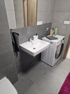 bagno con lavandino e lavatrice di GLAM apartmán Bučovice a Bučovice
