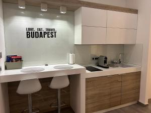 Kuchyňa alebo kuchynka v ubytovaní Imagine Budapest Premium Apartment
