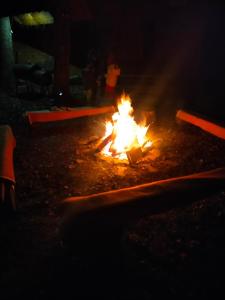 un fuego arde en la tierra por la noche en Przywiśle, en Ustroń