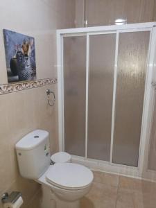 a bathroom with a toilet and a shower at ACOGEDOR ATICO CON TERRAZA EN SAN CRISTOBAL DE LA LAGUNA in Las Lagunas