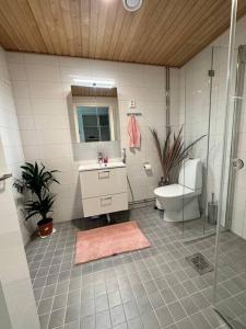 La salle de bains est pourvue de toilettes, d'un lavabo et d'une douche. dans l'établissement studio Finnoo Espoo next to metro, easy to reach Helsinki and Otaniemi, Aalto, à Espoo
