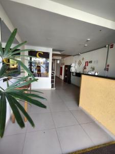 a lobby of a hospital with a plant in the foreground at Santiago Palace Hotel in São João del Rei