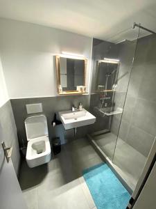 達沃斯的住宿－Residenz Davos von Swisspartments，浴室配有卫生间、盥洗盆和淋浴。